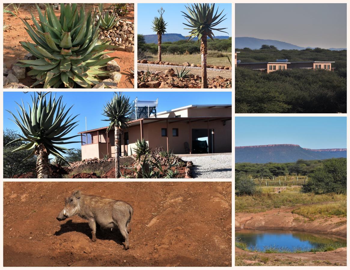 Cheetah View Lodge Otjiwarongo Exteriör bild